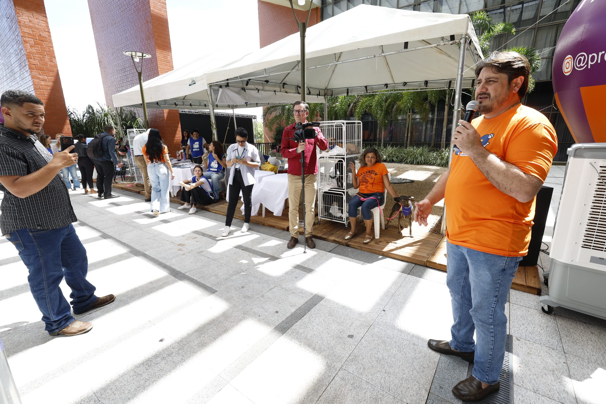 Eduardo Fortes promove 4ª Feira de Adoção na Aleto e garante novos lares para 20 animais